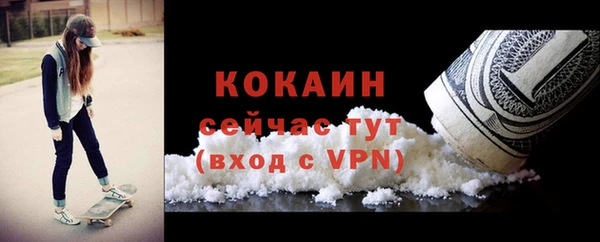 spice Богородицк