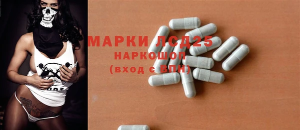 spice Богородицк