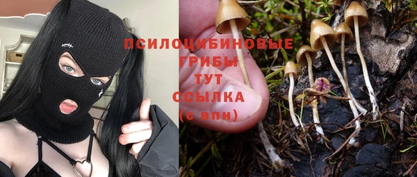 кокс Богородск