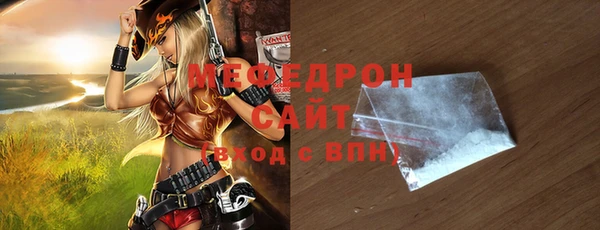 spice Богородицк