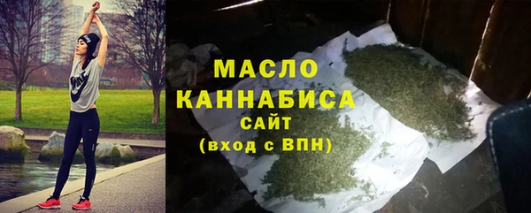 spice Богородицк