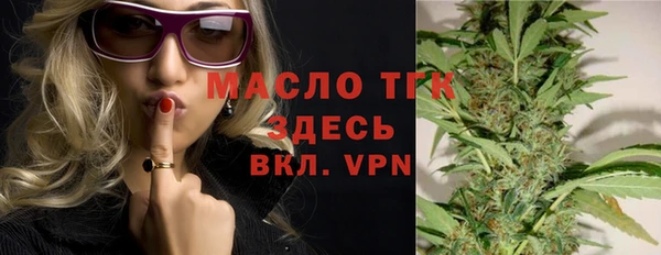 spice Богородицк