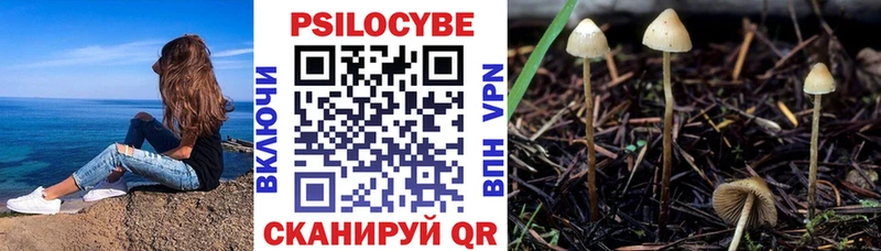 сайты даркнета клад Тольятти Псилоцибиновые грибы Magic Shrooms